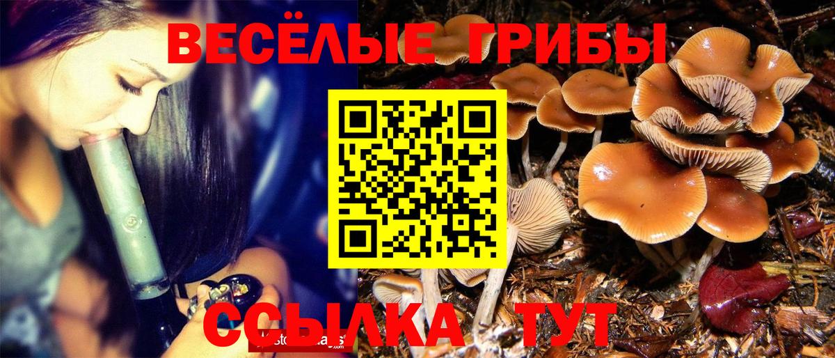 Дербент  сколько стоит  Вход с VPN  Псилоцибиновые грибы MAGIC MUSHROOMS 